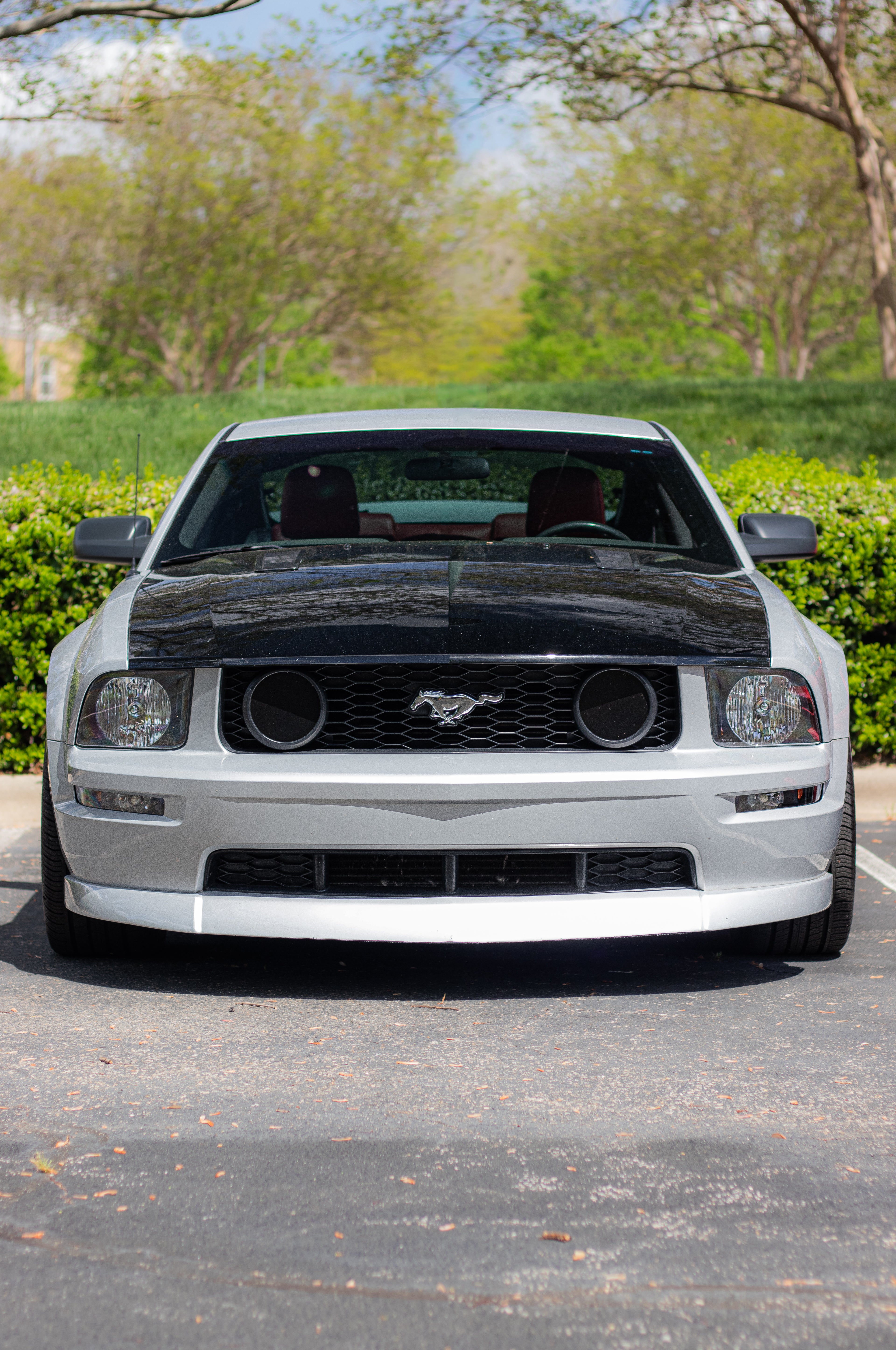 05-09 Mustang GT Fog Light Delete Plates